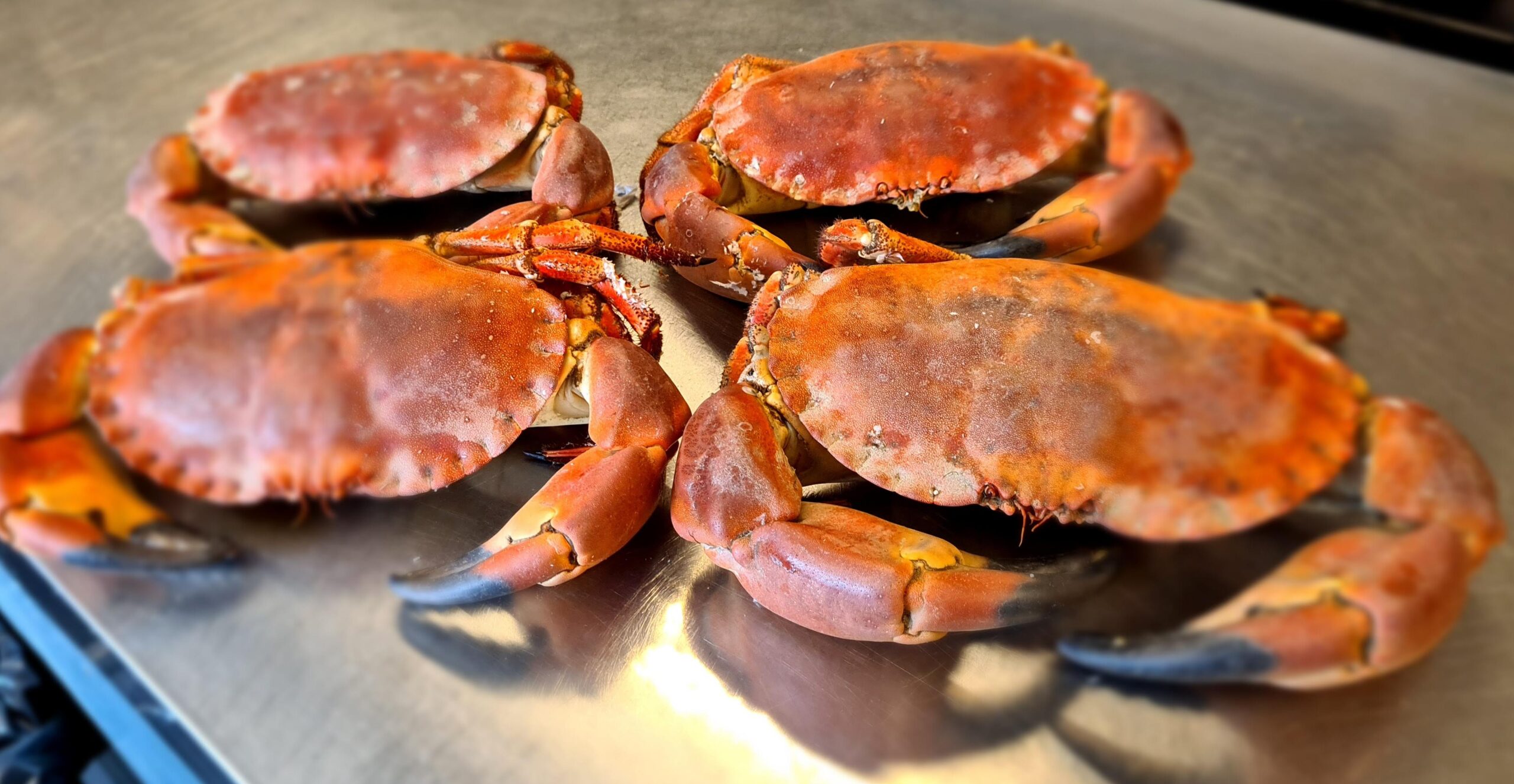 1st Class Food Holy Island Crab Menu